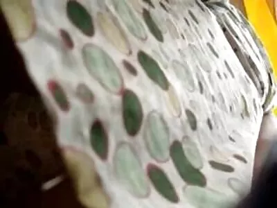 హ్యాండ్‌బూబ్స్ వీడియో (కరోలిన్ రీస్)